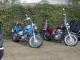 CH8300080.jpg