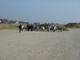 CH008.JPG
