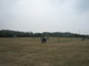 IB029.jpg