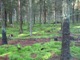 HH011.JPG