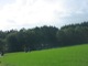 HH020.JPG