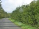 HH079.JPG