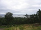 HH015.JPG
