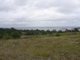 HH028.JPG
