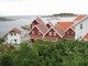 IB038.jpg